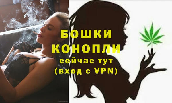 2c-b Гусев