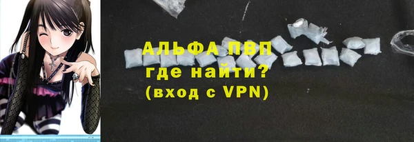 apvp Гусиноозёрск