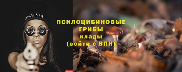 apvp Гусиноозёрск