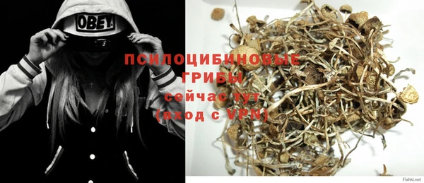 apvp Гусиноозёрск