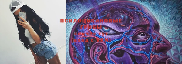 герыч Гусь-Хрустальный