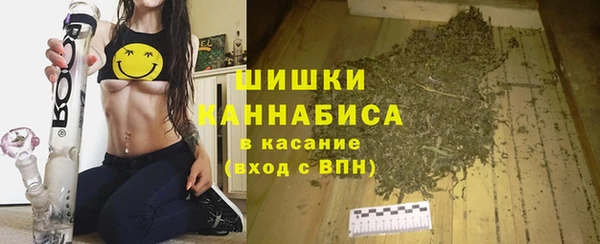 apvp Гусиноозёрск