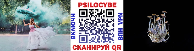 Купить  Жирновск  Псилоцибиновые грибы мухоморы 