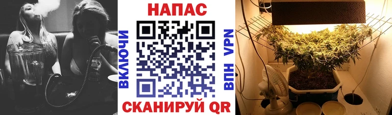 Купить закладки  Жирновск  МАРИХУАНА конопля 